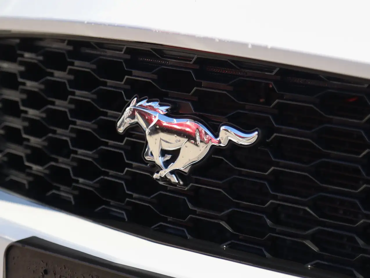 Ford Mustang снимка Ford Mustang