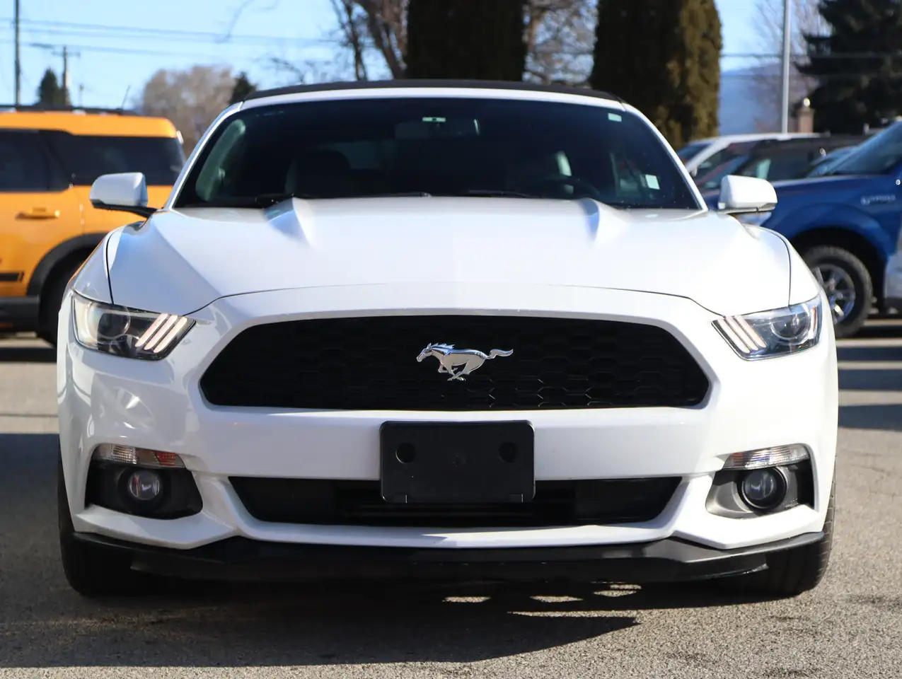 Ford Mustang снимка Ford Mustang