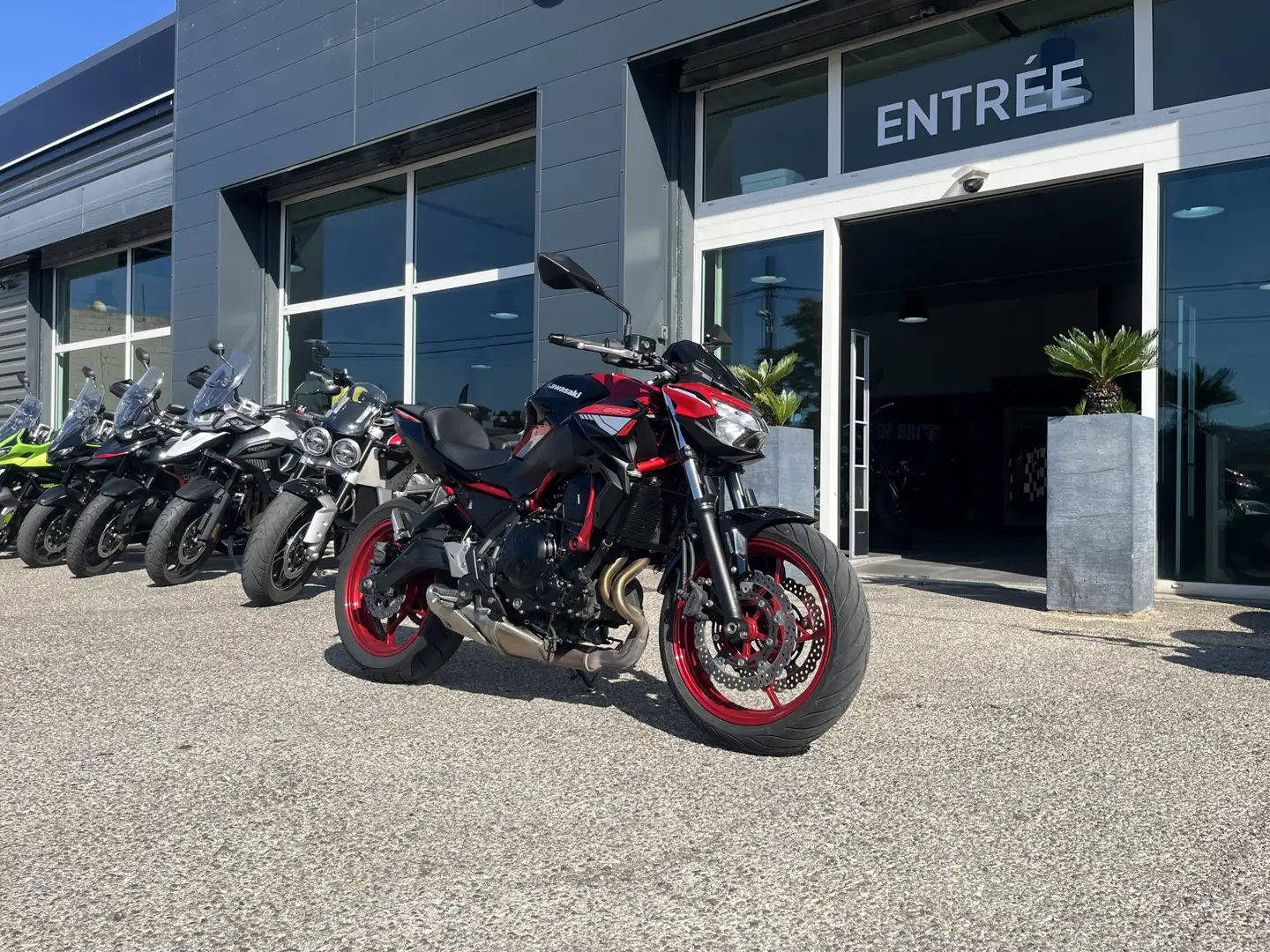 Kawasaki Z 650 Rouge - 2