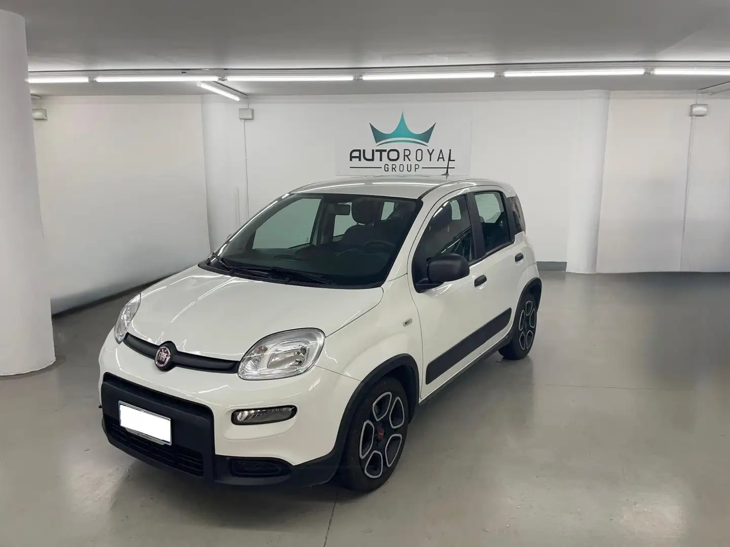 Fiat Panda Panda III 2021 1.0 firefly hybrid City Life s Bianco - 1