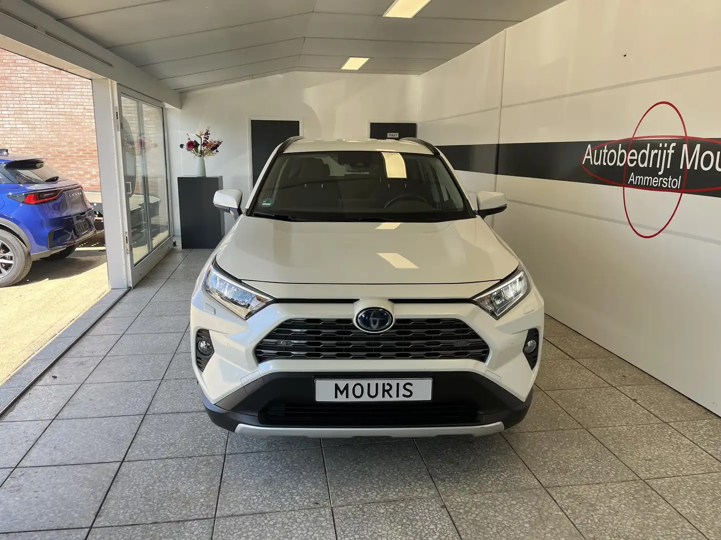 Toyota RAV 4 2.5 Hybrid AWD Team D Wit - 2