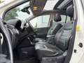 Renault Koleos Exception Wit - thumbnail 9