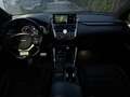 Lexus NX 300h Business Hybrid Aut. - thumbnail 12