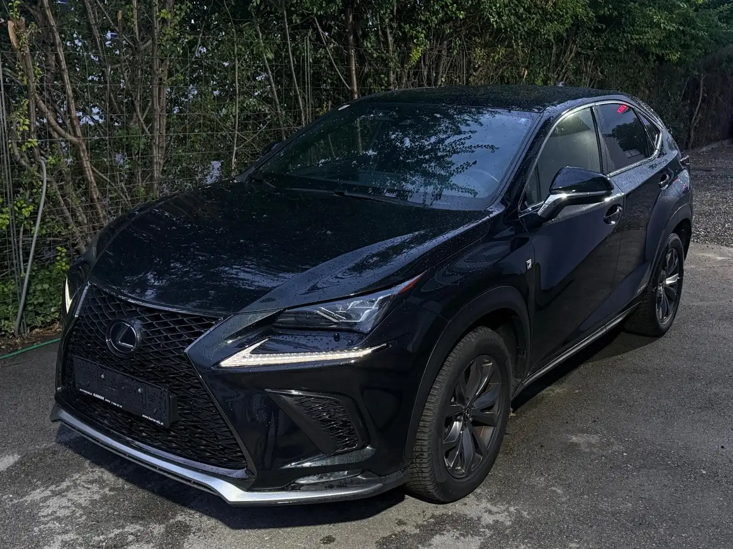 Lexus NX 300h Business Hybrid Aut. - 2