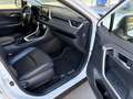 Toyota RAV4 2.5 hybrid 2WD Advance Plus Blanco - thumbnail 10