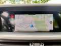 Alfa Romeo Stelvio 2.2 T.d. 160CV AT8 RWD Sprint Nero - thumbnail 14