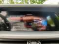 Alfa Romeo Stelvio 2.2 T.d. 160CV AT8 RWD Sprint Nero - thumbnail 20
