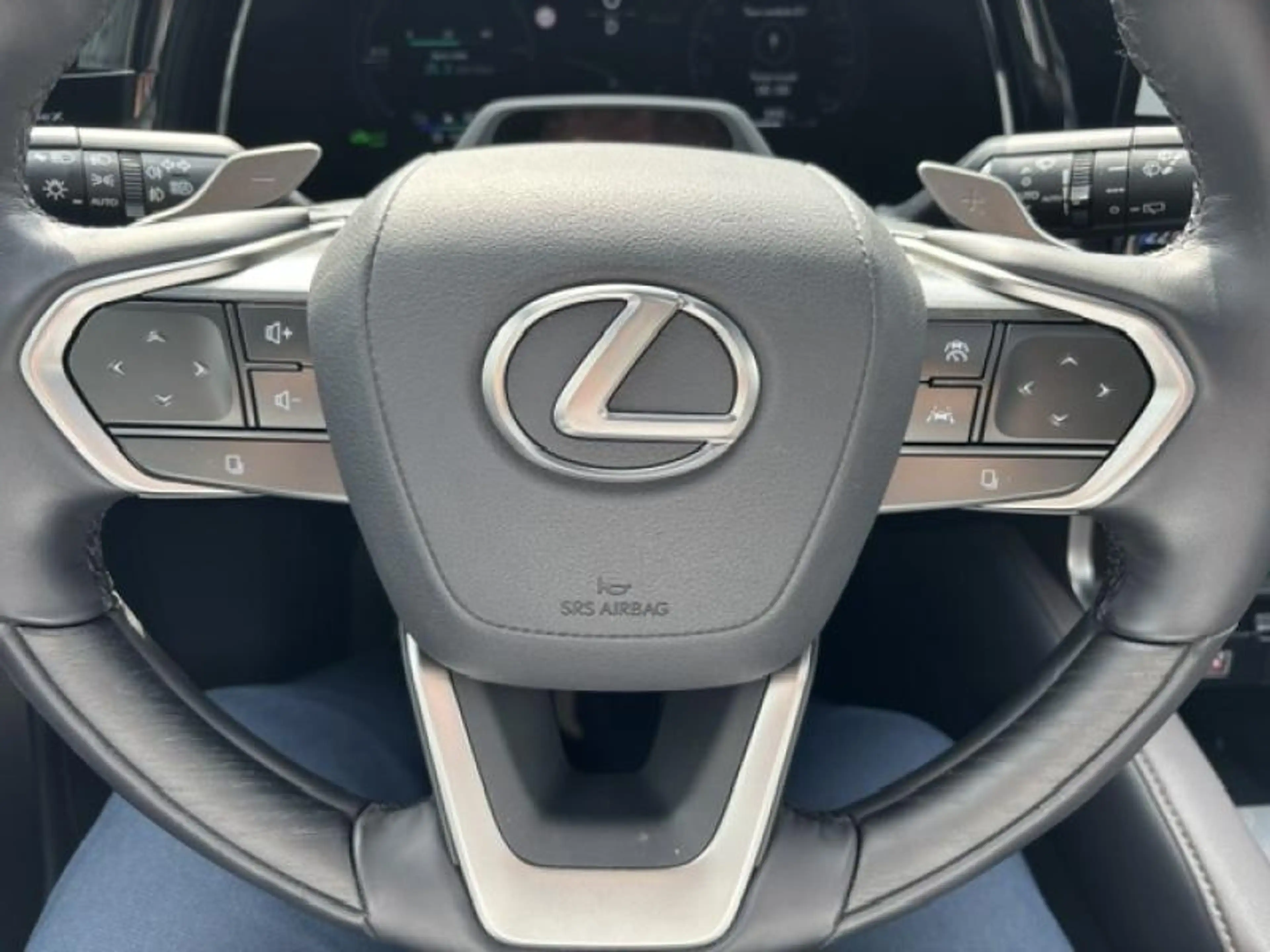 Lexus RX 450h 450h+ Privilege — photo 9