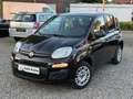 Fiat Panda 1.2 Easy Klima 2.Hand TOP Scheckheft Euro6 Schwarz - thumbnail 1