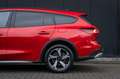 Ford Focus 1.0 E.B. Hybrid Active AUTOMAAT Wagon | Adaptt. Cr Rood - thumbnail 8