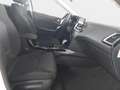 Kia Ceed SW / cee'd SW CEED SW 1.5 T-GDI DCT7 ULTIMATE EDITION MJ25 Blanco - thumbnail 17