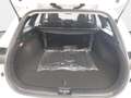 Kia Ceed SW / cee'd SW CEED SW 1.5 T-GDI DCT7 ULTIMATE EDITION MJ25 Blanco - thumbnail 15