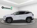 Hyundai TUCSON Tucson 1.6 hev Xline 2wd auto Bianco - thumbnail 3