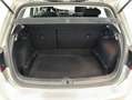 Volkswagen Golf 1.5 TSI Evo BM Advance 96kW Argent - thumbnail 7