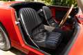 Austin-Healey Sprite MkI "Frogeye" Rot - thumbnail 4