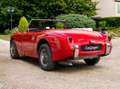 Austin-Healey Sprite MkI "Frogeye" Rot - thumbnail 2