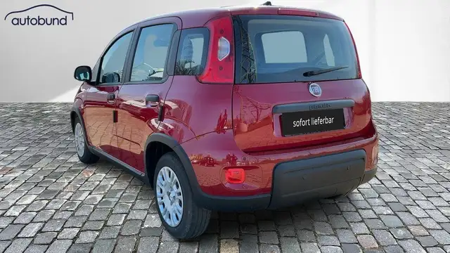 Fiat Panda view 2