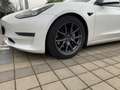 Tesla Model 3 Long Range AWD 75kWh Weiß - thumbnail 3