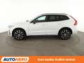 Volvo XC60 2.0 B4 Plus Dark 2WD Aut.*NAVI*LED*ACC*CAM*PDC*SHZ Blanc - thumbnail 3