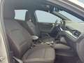 Ford Focus Turnier 1.5 EcoBlue Start-Stopp-System Aut. ST-LIN Argent - thumbnail 8