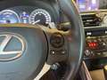 Lexus Pack Gris - thumbnail 15