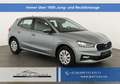 Skoda Fabia Selection 1.0 TSI Selection, Tempomat, Ladebode... Silber - thumbnail 1
