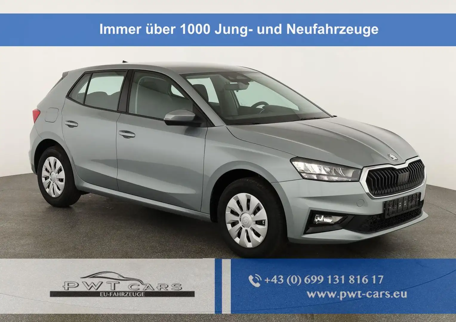 Skoda Fabia Selection 1.0 TSI Selection, Tempomat, Ladebode... Silber - 1