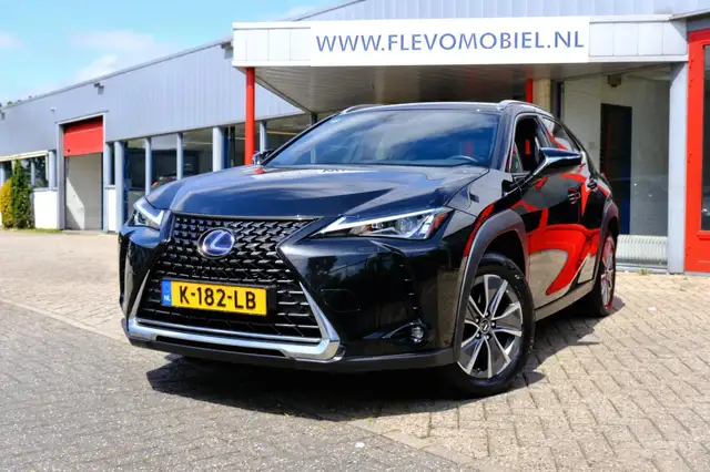 Lexus UX 300e