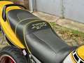 Yamaha XJR 1200 Tour Kenny Roberts - thumbnail 8