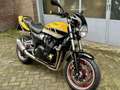 Yamaha XJR 1200 Tour Kenny Roberts - thumbnail 5