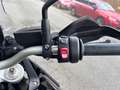 BMW F 900 GS mit Kofferset Negro - thumbnail 12
