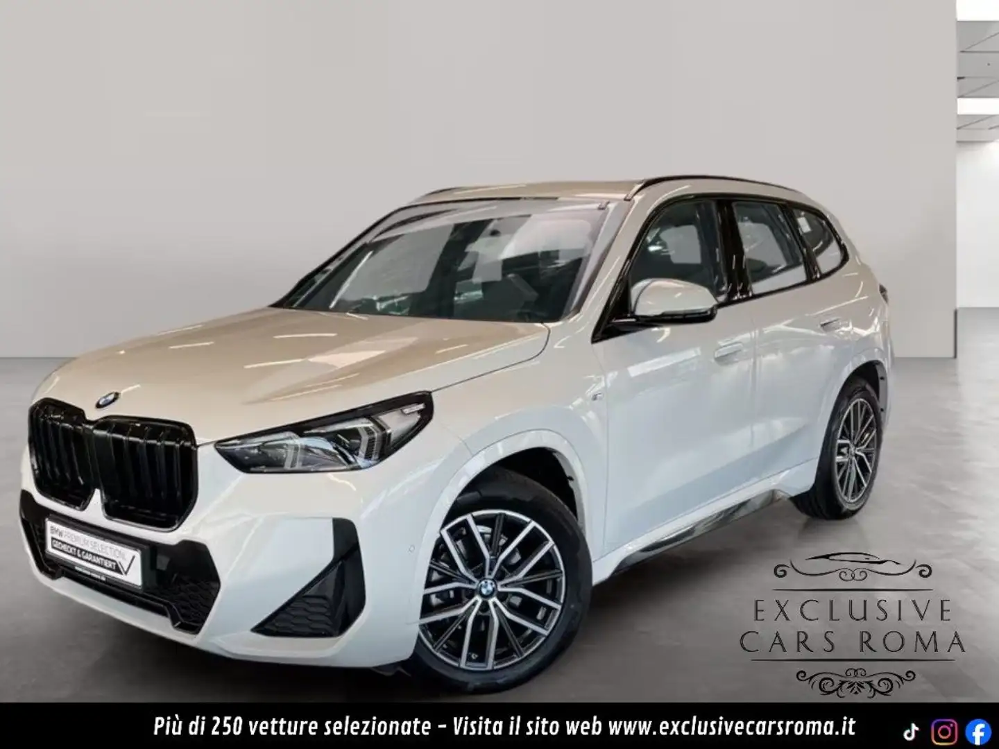 BMW X1 sDrive18d Msport Wit - 1