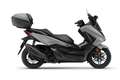 Honda Forza 350i inkl. Topcase MJ 25 6Jahre Garantie Gris - thumbnail 1