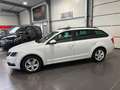 Skoda Octavia 1.0 TSi Combi **Navi*SHZ*PDC*Tempomat** Weiß - thumbnail 3