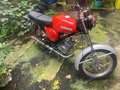 Simson S 50 B1 Rouge - thumbnail 2