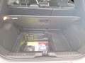 Ford Puma Puma II 2020 1.0 ecoboost h ST-Line X s Argent - thumbnail 15