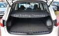 Nissan Qashqai+2 1.6 dCi Allrad 7 Sitze Navi Tüv neu bijela - thumbnail 17