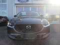 Mazda CX-30 /G140/Homura Modell 2025 Blau - thumbnail 3