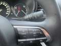 Mazda CX-30 /G140/Homura Modell 2025 Blau - thumbnail 14
