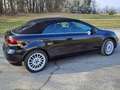Volkswagen Golf Cabriolet Golf Cabrio BMT 1,2 TSI Schwarz - thumbnail 4
