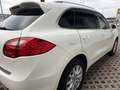 Porsche Cayenne S,Xenon,CarPlay,Navigation Weiß - thumbnail 4