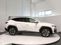 Hyundai TUCSON PE 1.6CRDI DCT 136 48V BUSINESS Bianco - thumbnail 5