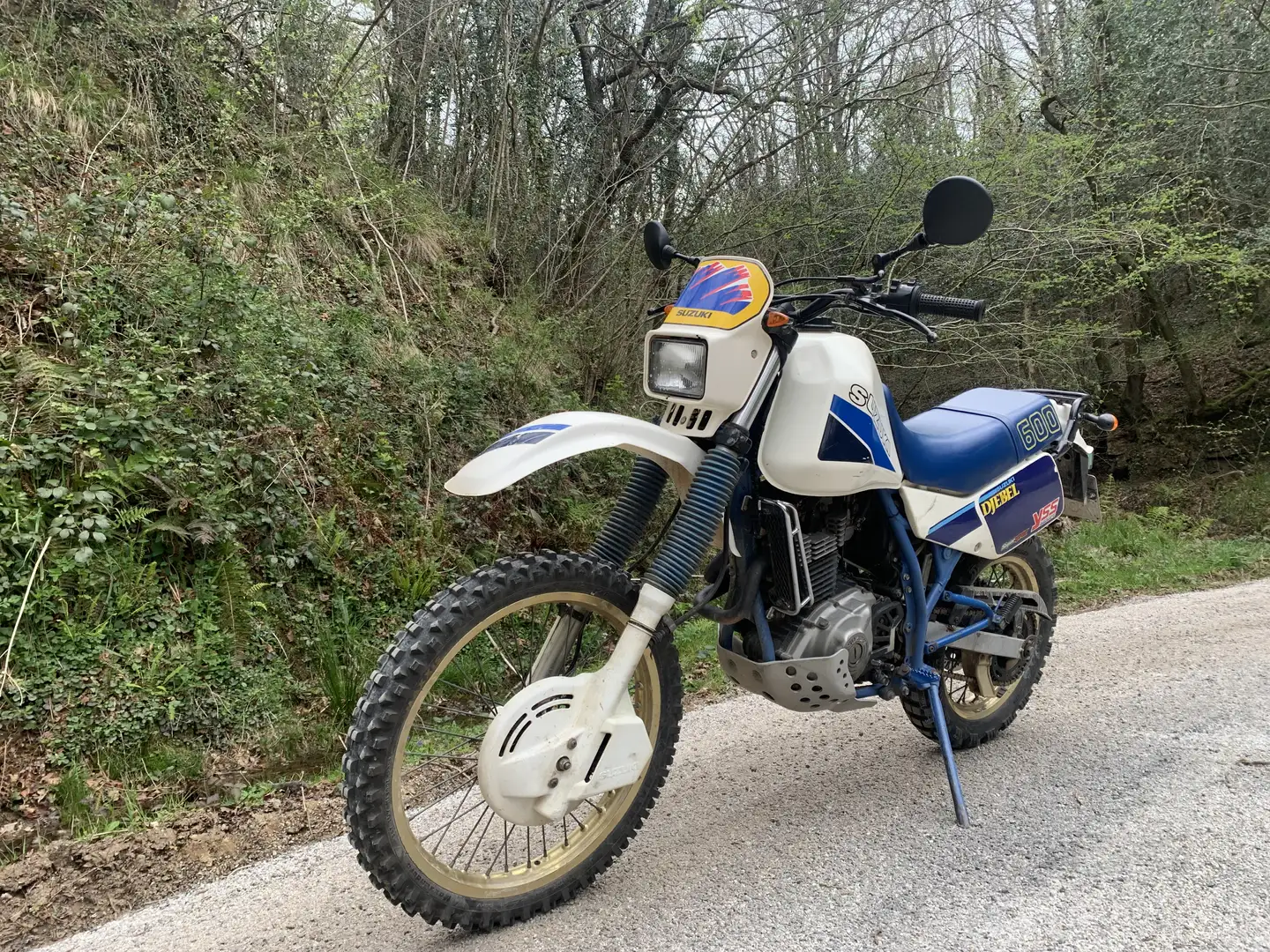 Suzuki DR 600 Suzuki Dr600 R - 2