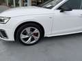 Audi A4 30 TDI S line S tronic 100kW Blanco - thumbnail 4