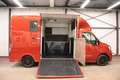 Renault Master Sodiak 180P Paardenwagen Horsetruck PAARDENVERVOER Rood - thumbnail 3