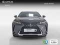 Lexus UX 300h 2.0  Plus Grau - thumbnail 5