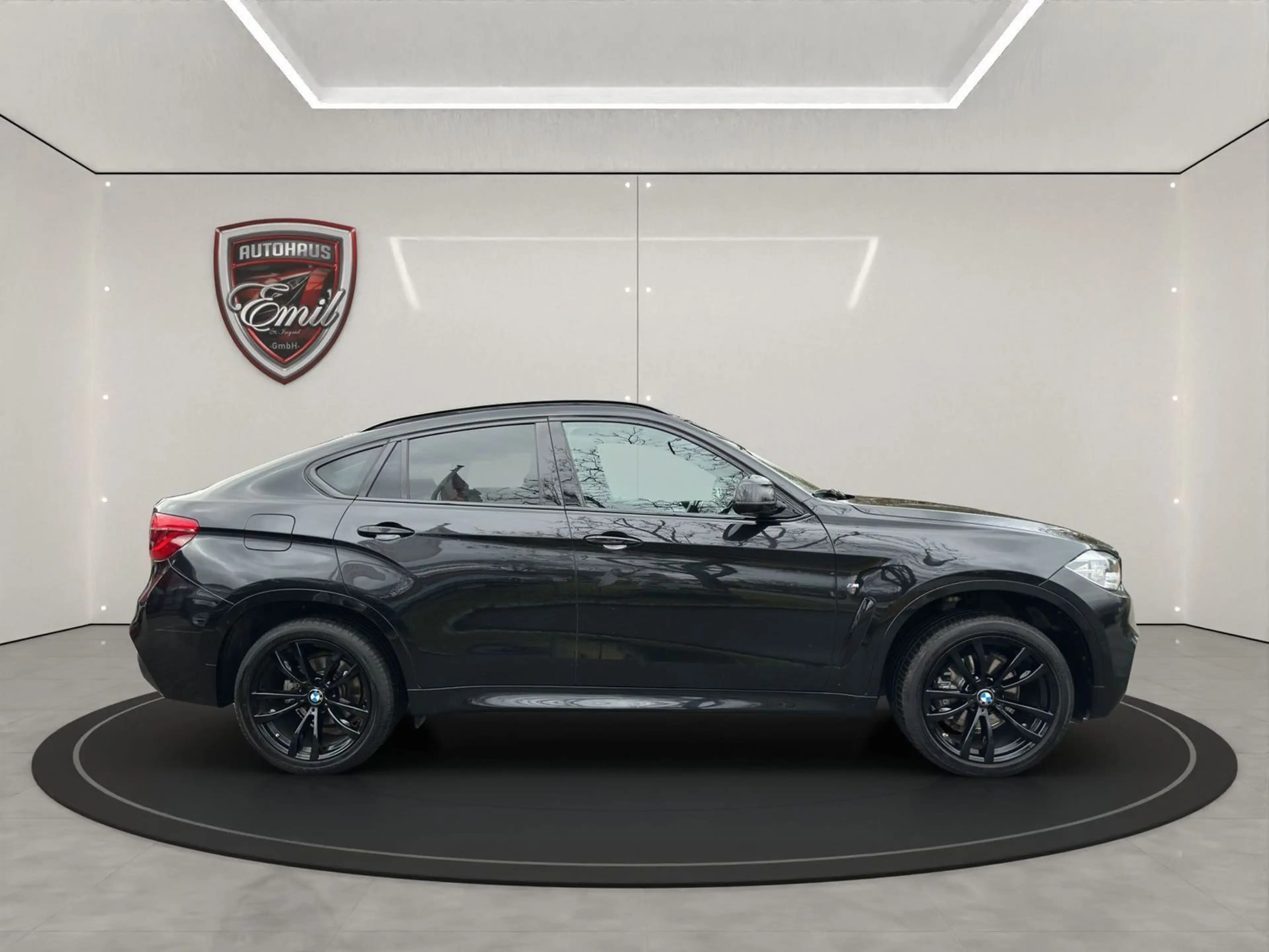BMW X6 xDrive 30 d/Rückfahrkamera/LED/Dakota Leder/HeadUp — photo 6