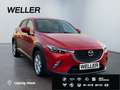 Mazda CX-3 SKYACTIV-G 120 Automatik Exclusive-Line *SHZ* Rood - thumbnail 4