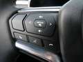 Isuzu D-Max D-MAX Double Cab 4x4 LSE Aut. 2025 Grau - thumbnail 19