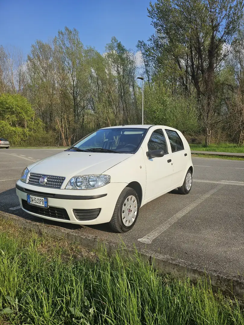 Fiat Punto 5p 1.2 Classic Active - 1